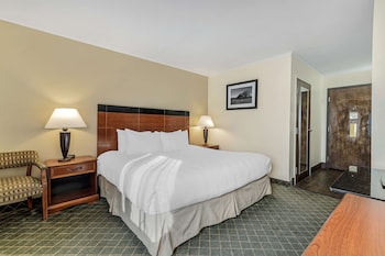 Standard Room, 1 King Bed, Non Smoking, Refrigerator & Microwave