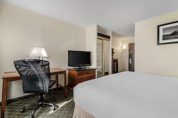 Standard Room, 1 King Bed, Accessible, Non Smoking (Walk-in Shower)