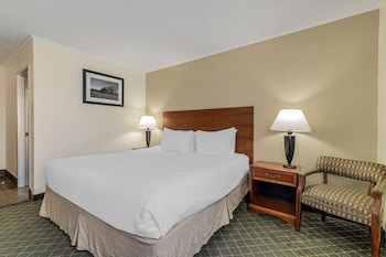 Standard Room, 1 King Bed, Accessible, Non Smoking (Walk-in Shower)