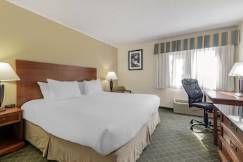 Standard Room, 1 King Bed, Accessible, Non Smoking (Walk-in Shower)