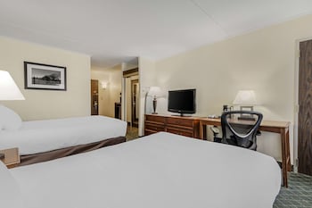 Standard Room, 2 Double Beds, Non Smoking, Refrigerator & Microwave