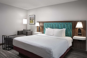 Room, 1 King Bed, Accessible, Non Smoking