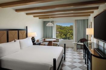Room, Accessible, City View (Mobility & Hearing, Roll-in Shower)