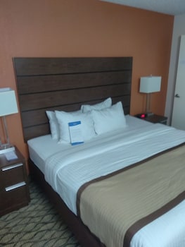 Room, 1 King Bed, Accessible, Non Smoking (Mobility Accessible)