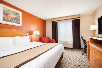 Room, 1 King Bed, Non Smoking