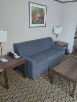 Room, 1 King Bed with Sofa bed, Non Smoking