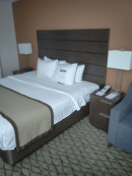 Room, 1 King Bed, Accessible, Non Smoking (Mobility Accessible)
