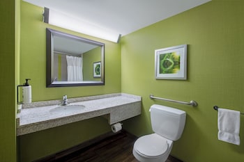 Premium Room, 1 King Bed, Accessible (Communication, Accessible Tub)