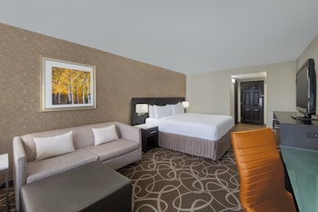 Premium Room, 1 King Bed, Accessible (Communication, Accessible Tub)