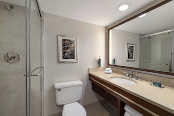 Room, 1 King Bed, Accessible (Roll-in Shower)