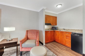 Suite, 1 King Bed, Non Smoking, Kitchenette (with Sofabed)