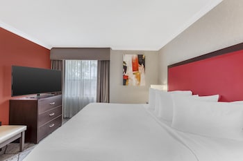 Suite, 1 King Bed, Non Smoking, Kitchenette (with Sofabed)