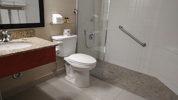 Suite, 1 King Bed, Accessible, Kitchenette (with Sofabed)