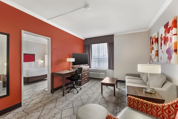 Suite, 1 King Bed, Non Smoking, Microwave (with Sofabed)