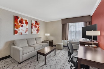 Suite, 1 King Bed, Non Smoking, Kitchenette (with Sofabed)