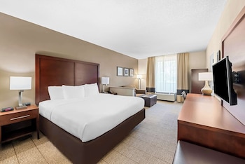 Suite, 1 King Bed with Sofa bed, Non Smoking