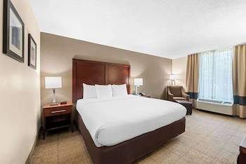 Room, 1 King Bed, Accessible, Non Smoking