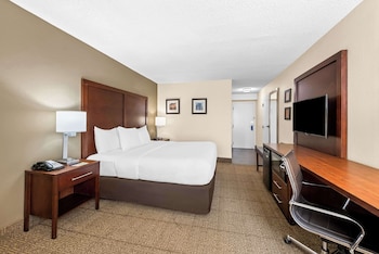 Room, 1 King Bed, Accessible, Non Smoking
