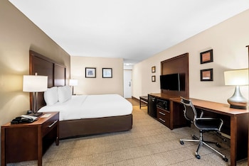 Standard Room, 1 King Bed, Non Smoking
