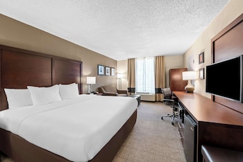 Suite, 1 King Bed with Sofa bed, Non Smoking