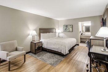 Deluxe Room, 1 King Bed, Refrigerator (Smoke Free)