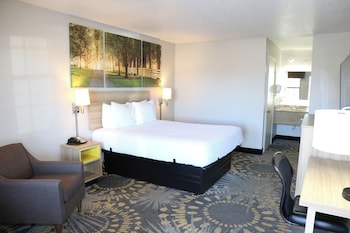 Standard Room, 1 Queen Bed, Accessible, Non Smoking