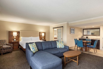 Studio Suite, 1 King Bed