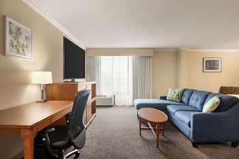Studio Suite, 1 King Bed