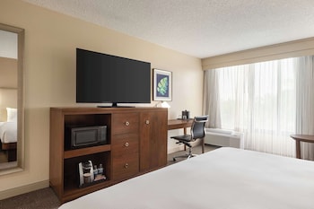 Room, 1 King Bed