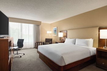 Room, 1 King Bed