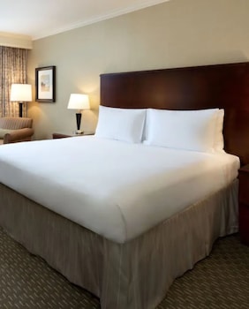 Basic Room, 1 King Bed