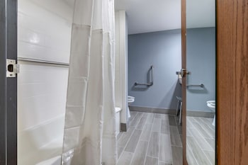 Standard Room, 1 King Bed, Accessible, Refrigerator & Microwave