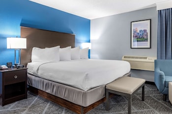 Standard Room, 1 King Bed, Non Smoking (Walk-in Shower;with Single Sofabed)