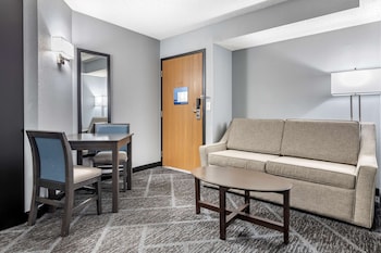 Standard Room, 1 King Bed, Non Smoking (Walk-in Shower;with Single Sofabed)