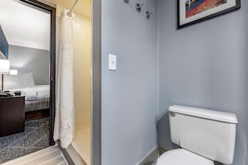 Standard Room, 1 King Bed, Non Smoking (Walk-in Shower;with Single Sofabed)