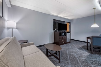Suite, 1 King Bed, Non Smoking, Refrigerator & Microwave (Living Room;with Single Sofabed)