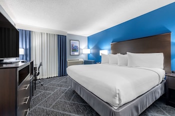 Standard Room, 1 King Bed, Accessible, Refrigerator & Microwave