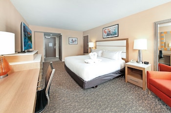 Room, 1 King Bed, Accessible, Non Smoking