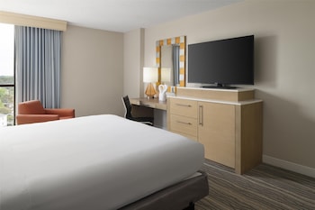Room, 1 King Bed, Non Smoking