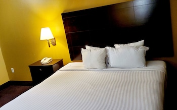 Room, 1 King Bed, Smoking