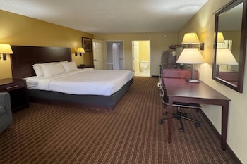 Room, 1 King Bed, Non Smoking, Poolside