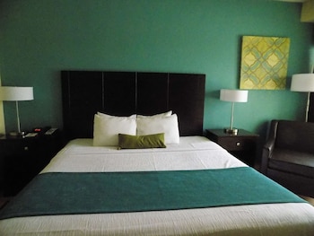 Suite, 1 King Bed with Sofa bed, Accessible, Non Smoking (with Sofabed)