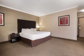 Standard Room, 1 King Bed, Non Smoking, Jetted Tub (with Sofabed)