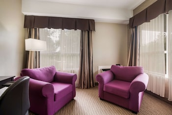 Standard Room, 1 Queen Bed, Non Smoking, Refrigerator
