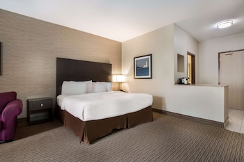 Business Room, 1 King Bed, Non Smoking, Refrigerator (with Sofabed)