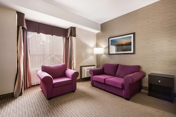 Business Room, 1 King Bed, Non Smoking, Refrigerator (with Sofabed)