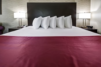 Business Room, 1 King Bed, Non Smoking, Refrigerator (with Sofabed)