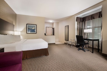 Business Room, 1 King Bed, Non Smoking, Refrigerator (with Sofabed)