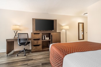 Standard Room, 1 Queen Bed, Accessible, Non Smoking