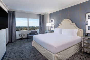 1 King Bed Junior Suite